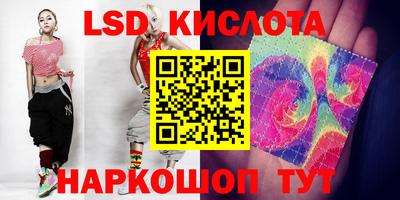 индика Новодвинск