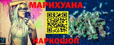 индика Новодвинск