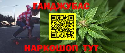 индика Новодвинск