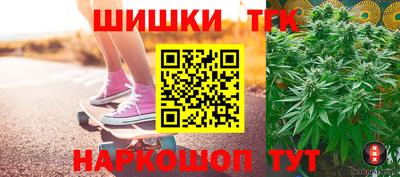 индика Новодвинск