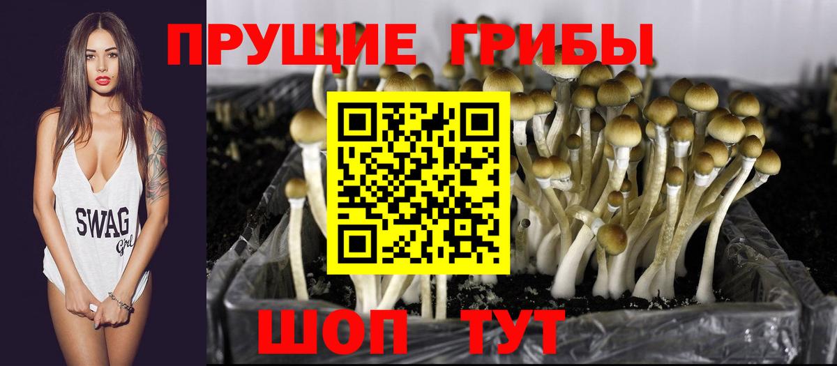 Белогорск  Галлюциногенные грибы Psilocybine cubensis  Вход с VPN  Псилоцибиновые грибы GOLDEN TEACHER 